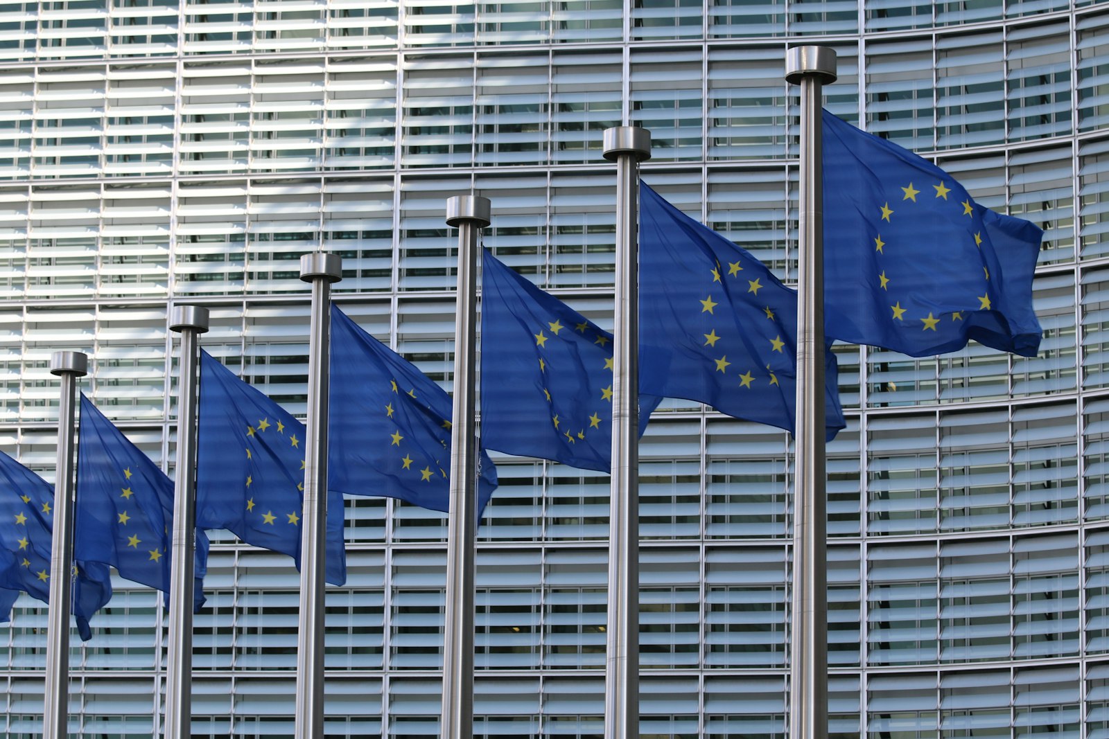 Reihe von EU-Flaggen vor einem Gebäude