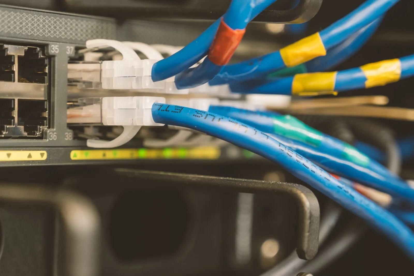 Blaue Netzwerkkabel stecken in einem Switch