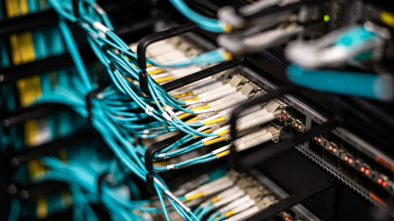 Dicht belegtes Patchfeld mit hunderten Netzwerkkabeln in einem Serverschrank