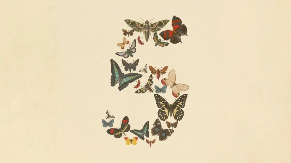 Eine aus Schmetterlingen geformte Ziffer 5 - Artwork zu Claude Fable 5