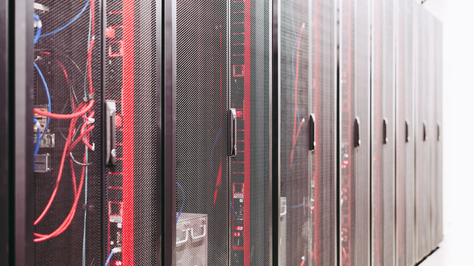 Dicht verkabeltes Netzwerkfeld mit vielen farbigen Patchkabeln